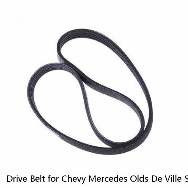 Drive Belt for Chevy Mercedes Olds De Ville Suburban Express Van Ram Truck 1500